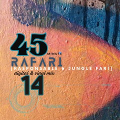RaFari presents 45 Live... a Digital meets Vinyl mix 14