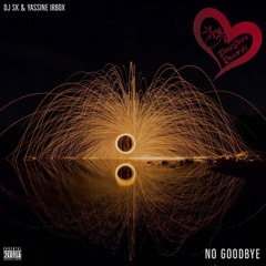 DJ SK & Yassine Irbox - No Goodbye