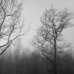 silence, loneliness