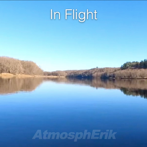 In Flight
