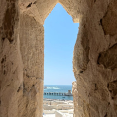 In One of My Dreams - Instrumental Lyre