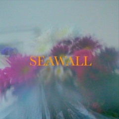 Neev - Seawall (Danception Remix)