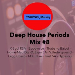 Deep House Periods Mix 8 (mixed By TSHPSO Musiq)