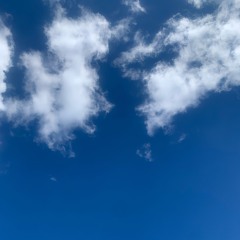 Permanently Stuck In The Sky