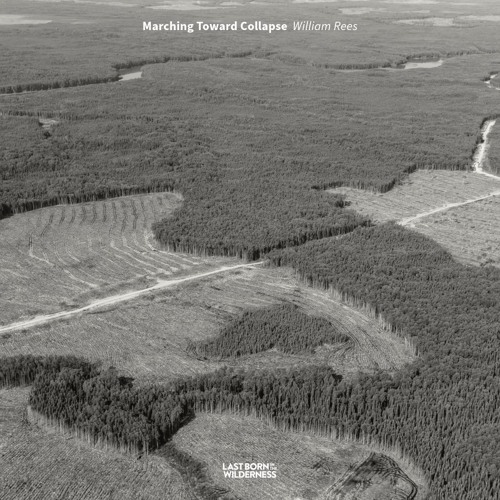 earth first transform