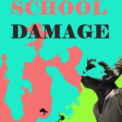 // ScHooL DaMaGE //