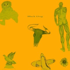 Black Dog