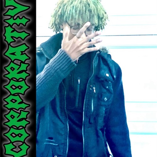 Final fantasy P.aaric