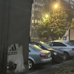 таблеточные свойства бытия