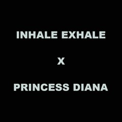 Skrillex, Aluna & Kito x Ice Spice & Nicki Minaj - Inhale Exhale x Princess Diana (Skrillex Mashup)