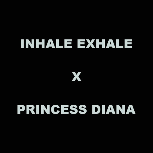 Skrillex, Aluna & Kito x Ice Spice & Nicki Minaj - Inhale Exhale x Princess Diana (Skrillex Mashup)