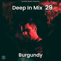 Deep In Mix 29 with Burgundy