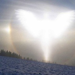 dries bormans - beat it (anyo + sevenvx)