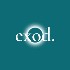 Theobald Ringer - exod. (Original Mix) [exod.001]