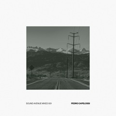 Sound Avenue Mixed 001 - Pedro Capelossi