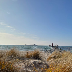 This Land Is Your Land