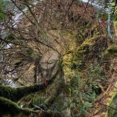 IDOLS - Geez (Prod. TRVCE)