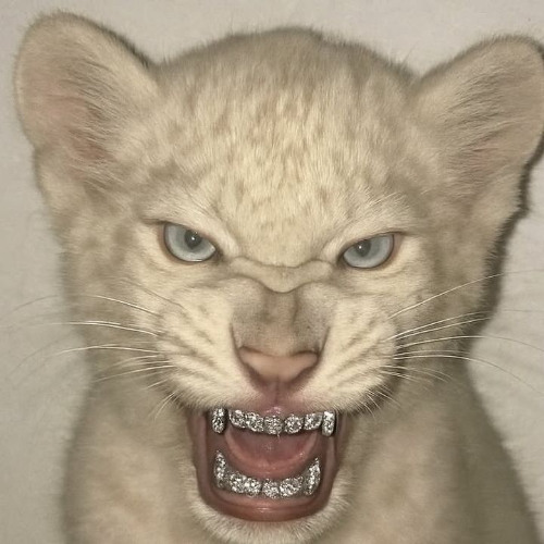 Blinky - PLÜG (Prod. ZkBeats)