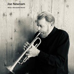 WHAT A WONDERFUL WORLD    (Thiele, Weiss)