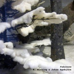 R. Missing & Johan Agebjörn - Fakesnow