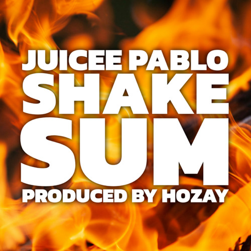 Shake Sum (Official Audio)