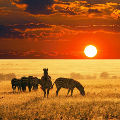 Africa Part 2