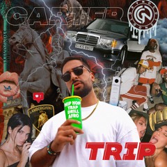 DJ Carter - Trip (Mixtape)