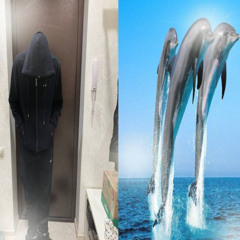 dolphin
