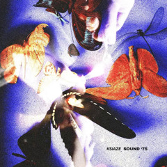 ksiaze - 924 Gilman Street