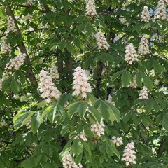 3 Years of Recess! Closing @Fitzroy - 04.05.2025