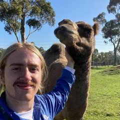 OUTER RES POD003: STAPLES