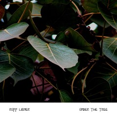 Soundbreathing - Under The Tree
