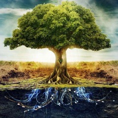 LIKEOFTREE