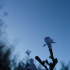 Millions of letters - Demo