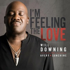 Will Downing Ft Avery Sunshine - I'm Feeling The Love (Sounds of Soul Retouch)