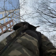 10 toes [11rxello x 130jajo]