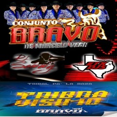 Conjunto Bravo De Marcelo Vega - Tribal Pala Raza Mix En Vivo 2025 Djsammy EtxDjs