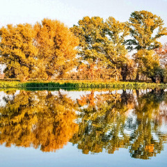 Riverside