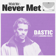 Wish We Never Met (feat. Amanda Collis)