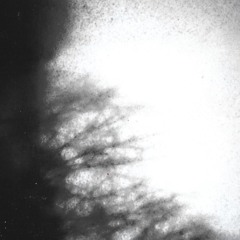 fractals I Sunfear I Refuge Worldwide