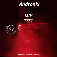 LUV TEST (Martin Kohlstedt Tribute)