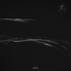 Sennago - Prey