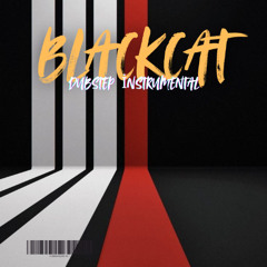BLACKCAT . HARD DUBSTEP INSTRUMENTAL DJ (11)