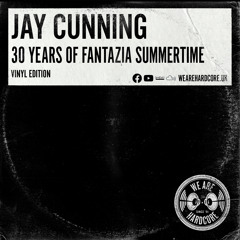 [Vinyl Edition] 30 Years Of Fantazia Takes You Into Summertime
