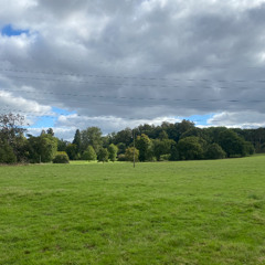 Porter Robinson- Sweet time (skulk demo)