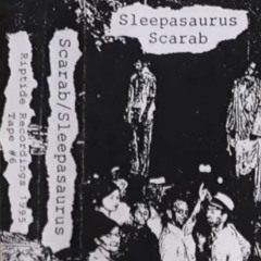 scarab - gift (1995)