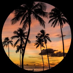 sunset vibes