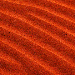 In The Rhythm (Original Mix)