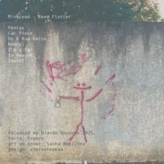 PREMIERE | minereed - I'm a Car