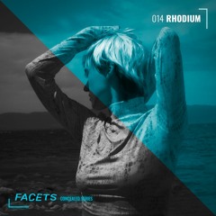 FACETS Concealed Series | 014 | Rhodium